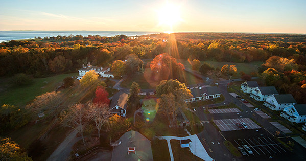 theoneill Overview