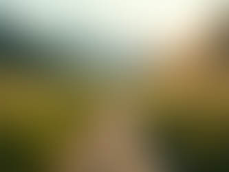 Building Internal Standards for Personal Development Success