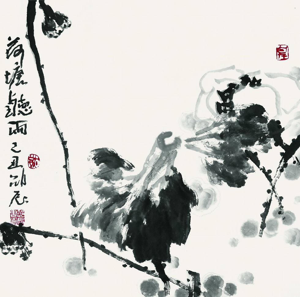 荷塘听雨