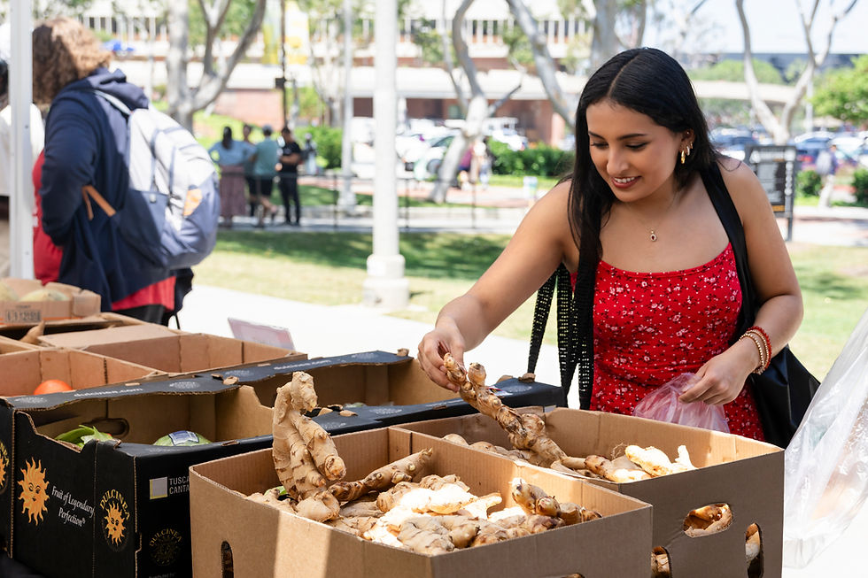 Beyond the Checkbook: Why Donating Stock is the Smarter Way to Give