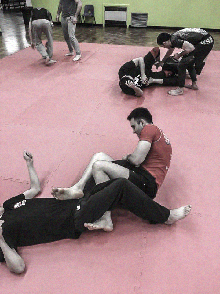 Bushin Mixed Martial Arts photo