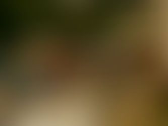 Vincent Couppey expose ses toiles à Antre Gourmets