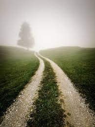 2022년 07월 31일 - 우리는 정해진 길을 간다 