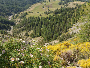 Rando du 20 Juin 2026: Le tour du mont Brussière (380m D+; 7,5km)