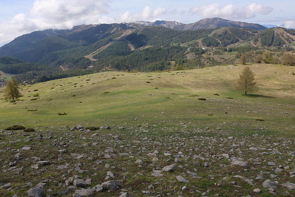 Rando du 16 Mai 2026: Lac de Beuil et tête du Garnier (370m D+; 7,2km)