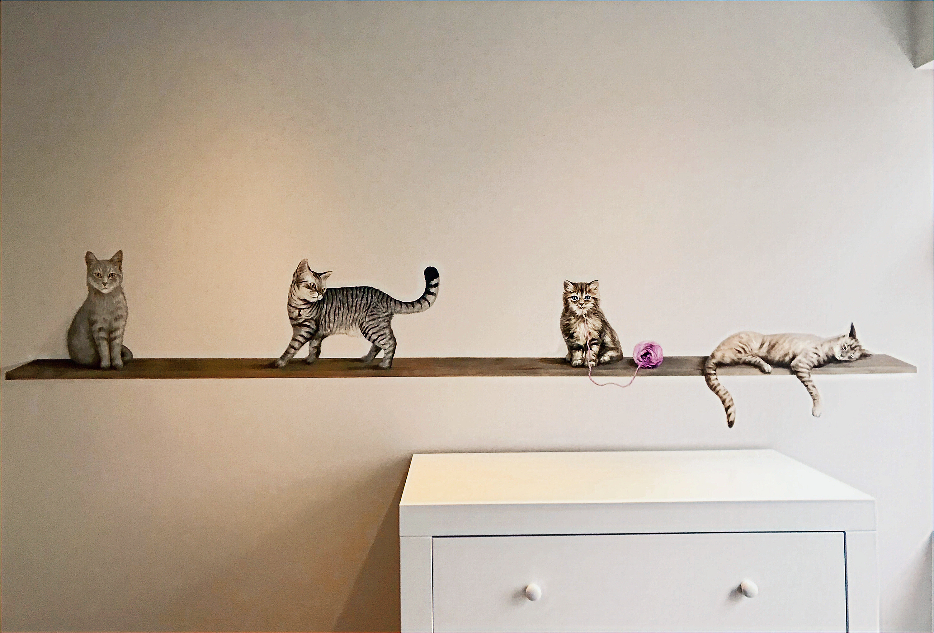 Muurschildering: Katten op een plank