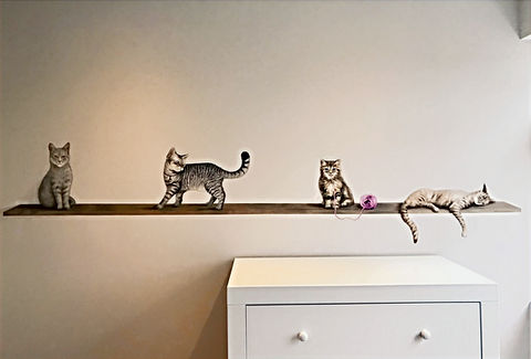 Muurschildering katten op een plank in babykamer
