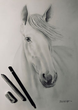 Tekening van een paard