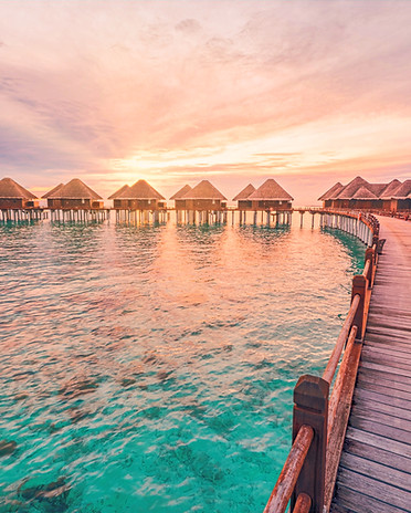 shutterstock_2458222519_edited_edited.jp