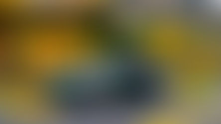 Chronique Auto 95,7 KYK - La minifourgonnette a-t-elle toujours sa place?