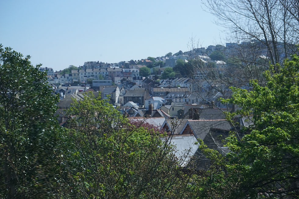View from Parkroyd lounge window