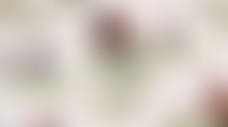 Welcome to the launch of The Chic Equestrian!