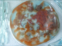 Peinture sur verre avec inclusions
