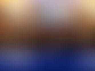 Thank you Riello UPS!