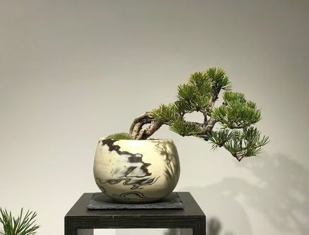 IMG_0233.JPEG