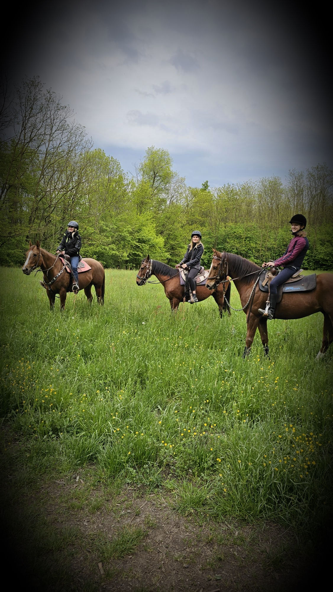 Passeggiata a cavallo