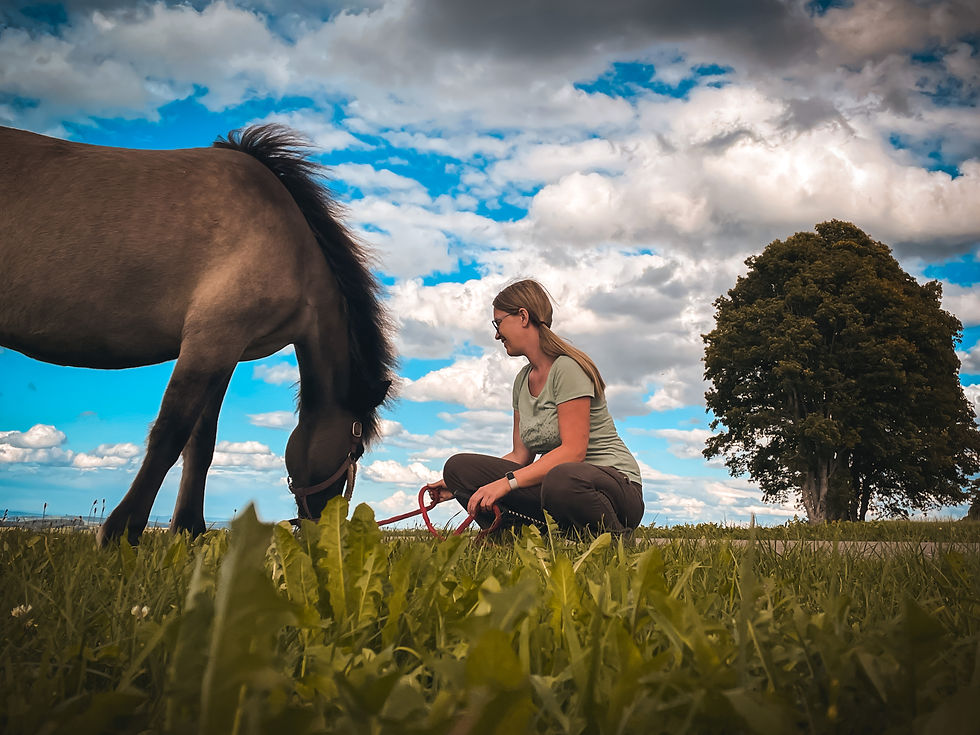 Yvonne Göldlin Pferdecoaching