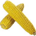 580b57fcd9996e24bc43c20c.png