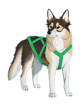 aika.png