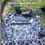 Thumbnail: Black leopard backpack purse