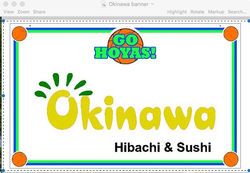Okinawa Banner 2018