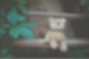 NOUNOURS.jpg