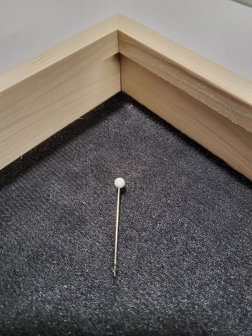 Thumbnail: 1.5" Shadow Box Wood Display, Made-to-Order Shadow Box, Solid Wood Display Frame