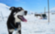 AdobeStock_103142172.jpeg