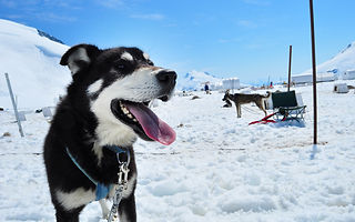AdobeStock_103142172.jpeg
