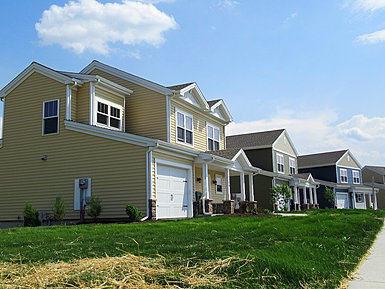 Monarch Management Group, Inc. | Sunflower Fields | Harrisburg, PA