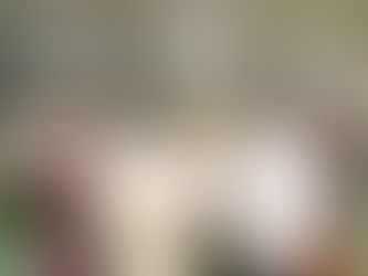 Employabilité des jeunes : l’UAD explore les opportunités offertes par la Compagnie Béninoise des Textiles de Lokossa