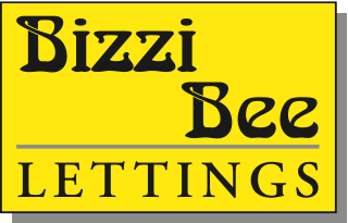 bizzi bee bizzi bee
