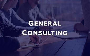 GENERAL CONSULTING
• Market Research & Analysis
• Client Representation
• Client Advisory
• Legal Representation
• SPV Incorporation
• FDI Clearance
• Legal Due Diligence
• Feasibility Studies
• Properties Valuation
• Risk Assessment 
• Marketing Studies
• PR Campaigns