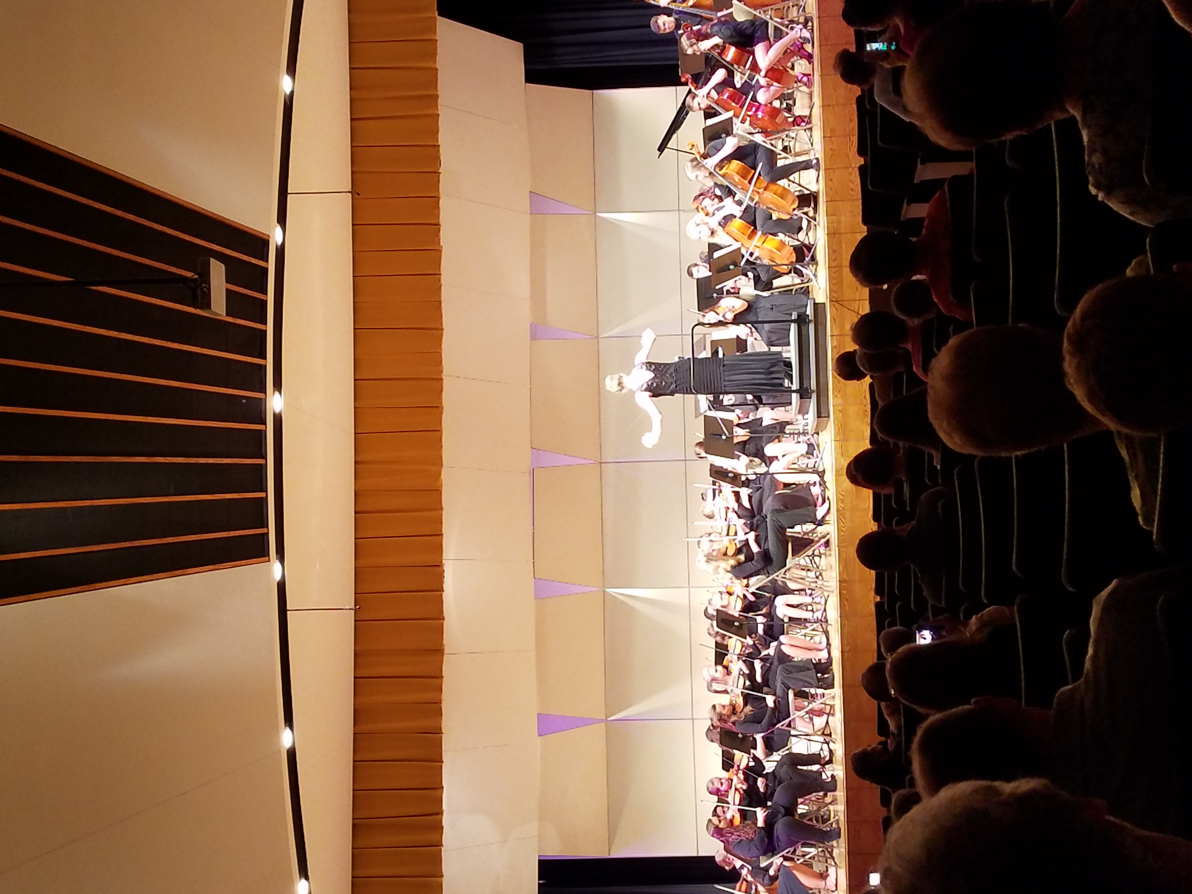Butler Senior High Orchestra