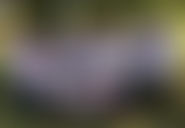 Protecting #NetNeutrality for the Advancement of Indian Country Justice Movements