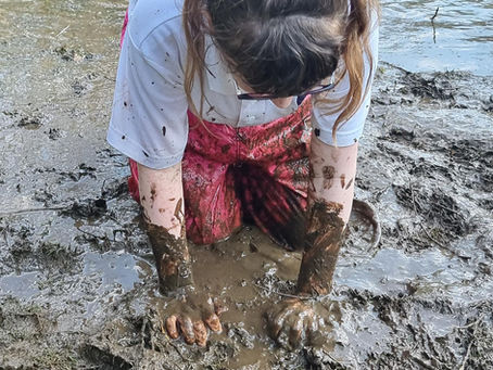 The benefits of mud!