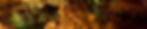 Bild1b.jpg
