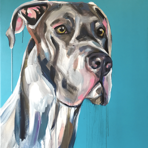 Rocko (SOLD)