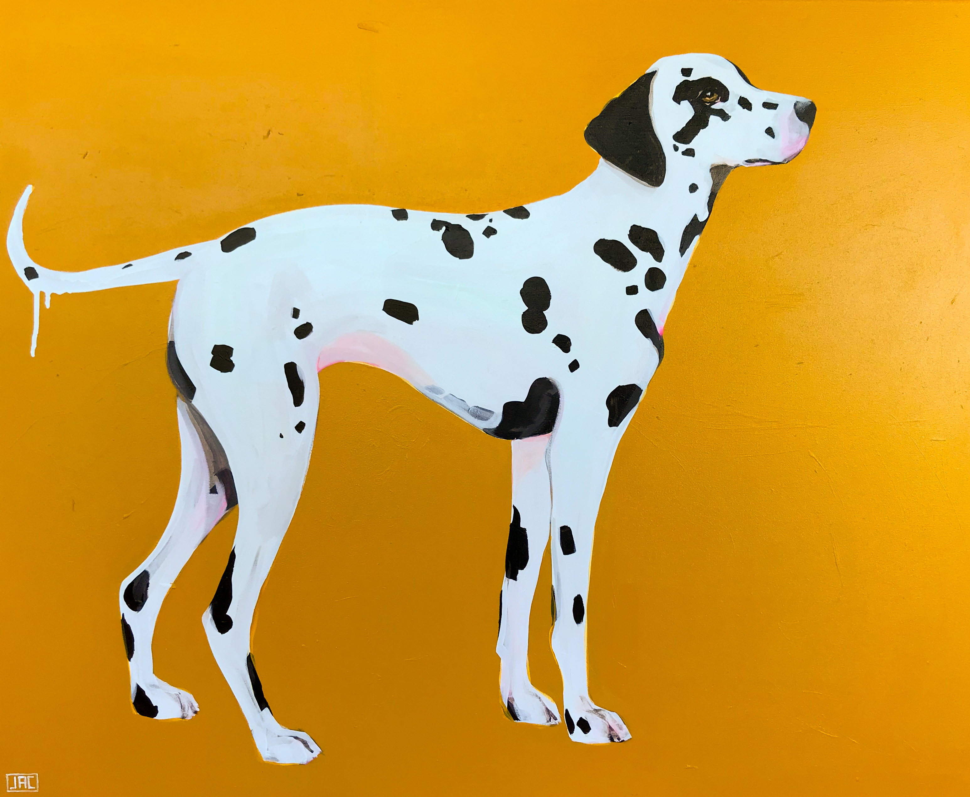 WAITING. DALMATIAN. GOLD