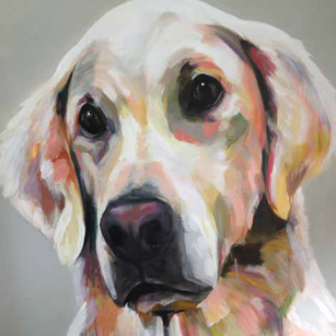 Hudson the Golden Retriever