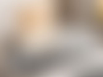 Stainless steel dish rack: a modern kitchen storage revolution