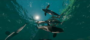 Boids FishTank : Real-Time Predator–Prey Simulation with Multi-Role Boids