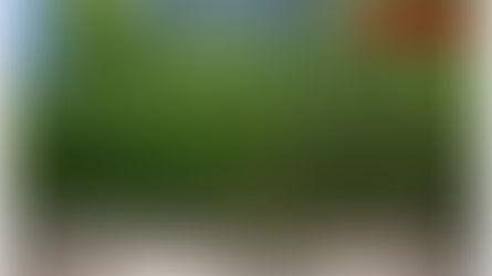 0.46 Acre lot yours for $1,500 DOWN - $157.81/mo. - Richmond County