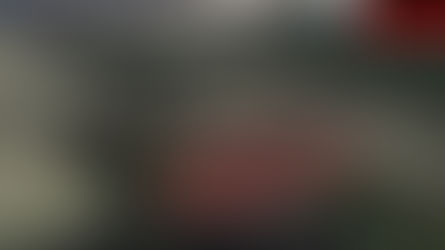 2.03 Acre land for Only $1500 Down Payment - Martin County, NC