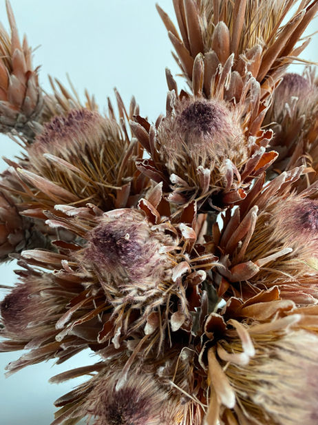 302 Flowers, Macedon Ranges Florist & Flower Farm, Delivery in the Macedon Ranges