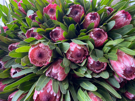 302 Flowers, Macedon Ranges Florist & Flower Farm, Delivery in the Macedon Ranges