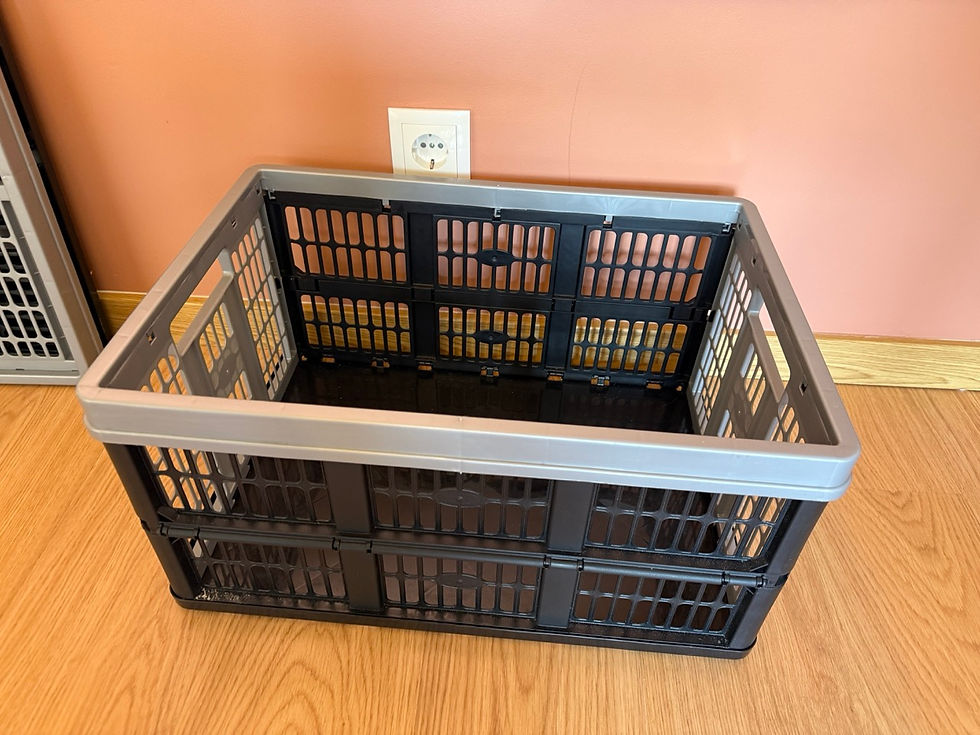 Thumbnail: Pair of Folding Plastic Storage Crates 45L / 30 Kg (Made in Luxembourg)