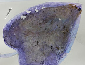 WhatsApp Image 2022-10-10 at 9.37.31 AM (8).jpeg