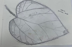 WhatsApp Image 2022-10-10 at 9.37.31 AM (16).jpeg