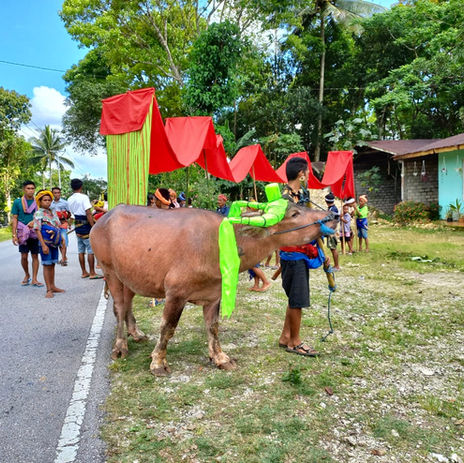 Funeral ceremony Sumba Indonesia